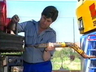 TRABAJADOR FERROVIARIO 02